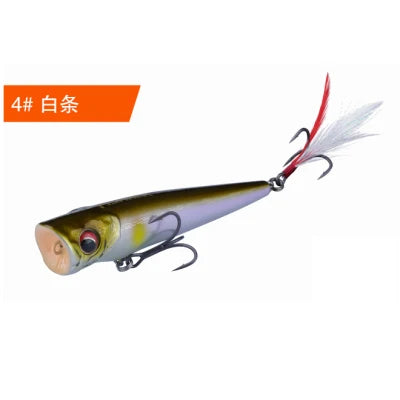 FISHANT Popper Noise Long Shot 3D Fisheye Water Surface Floating Fishing Lure 6g-19g Artificial Wobbler Fake Bait Lures For Fish
