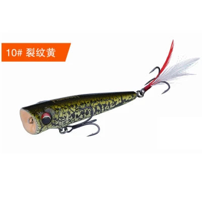 FISHANT Popper Noise Long Shot 3D Fisheye Water Surface Floating Fishing Lure 6g-19g Artificial Wobbler Fake Bait Lures For Fish