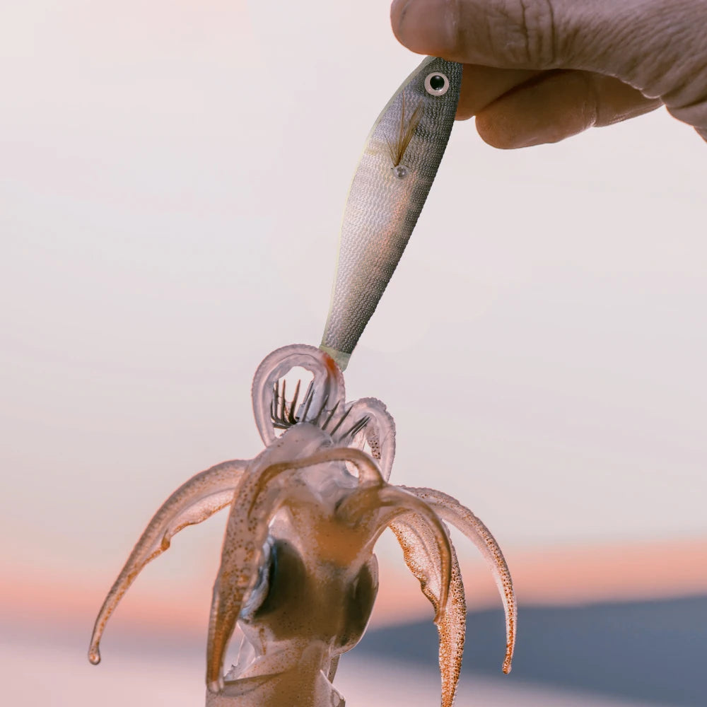 10pcs/Set  Luminous Horizontal Squid Jig Wood Shrimp Squid Sharp Hook Lures Octopus Cuttlefish Shrimp Saltwater Baits