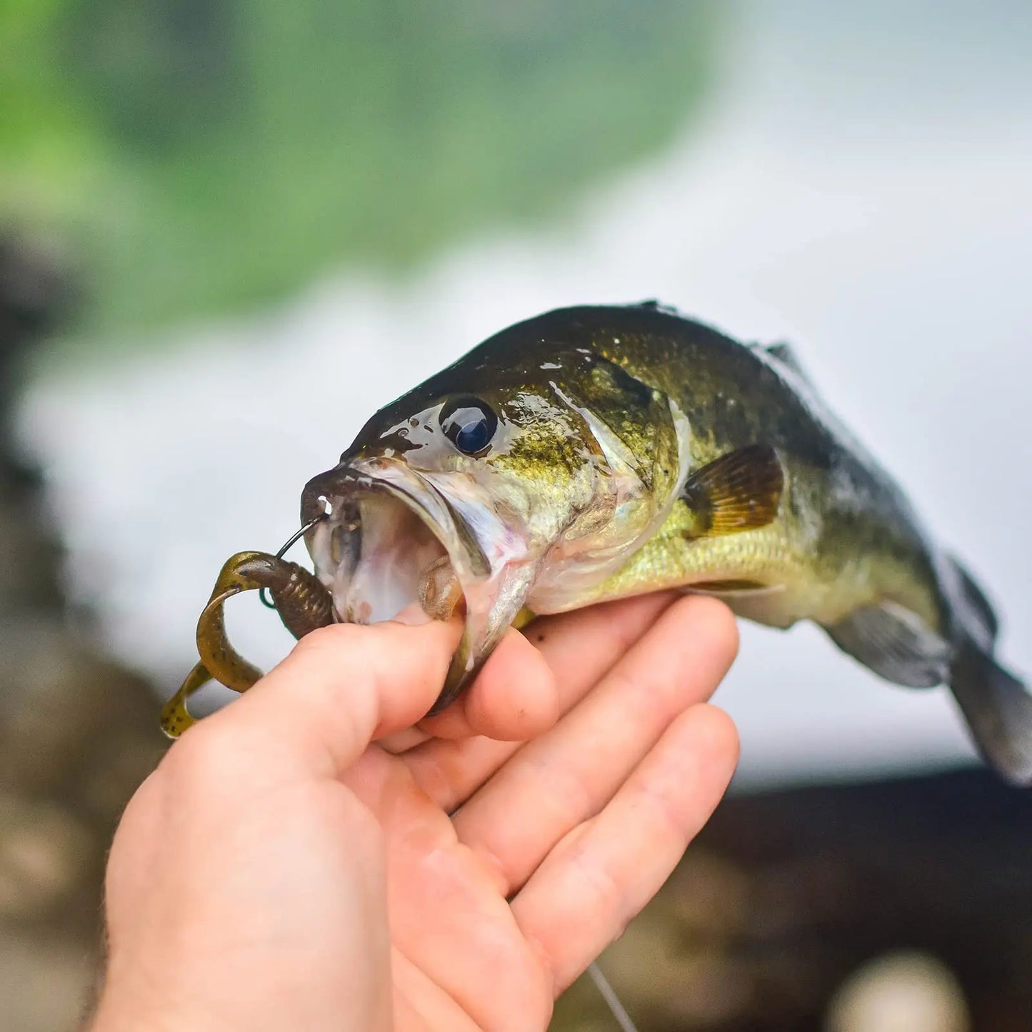 Goture 20pcs Jig Head 1g 2g 3g 4g 5g 7g 8g 10g 12g 14g 22g Unpainted  Head Hook Jig Fishing Hook Jig Pike Fishing Accessories